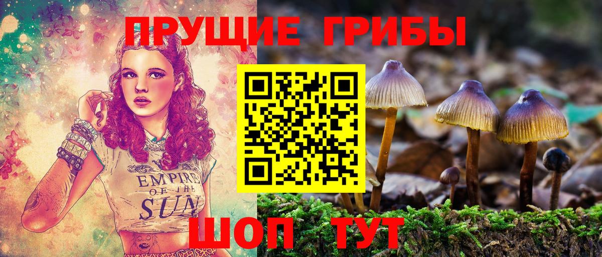 Галлюциногенные грибы мухоморы  Вход с VPN  Костомукша 